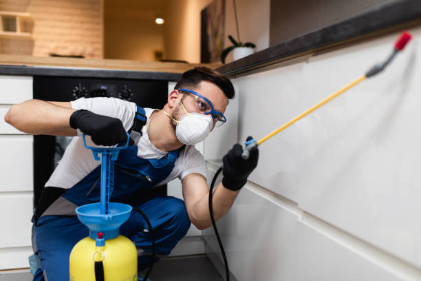 Best Best Pest Control Companies  in Lake Of The Woods, IL