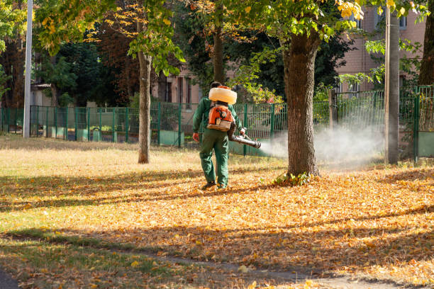 Best Exterminator Services  in Lake Of The Woods, IL
