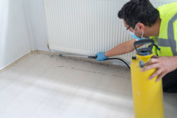 Flea Control Services in Lake Of The Woods, IL