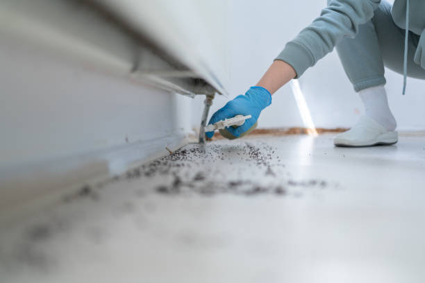 Best Pest Control Near Me  in Lake Of The Woods, IL